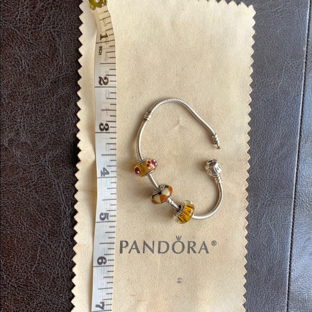 Pandora bracelet